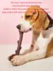 Branch shaped pet sound toy 4