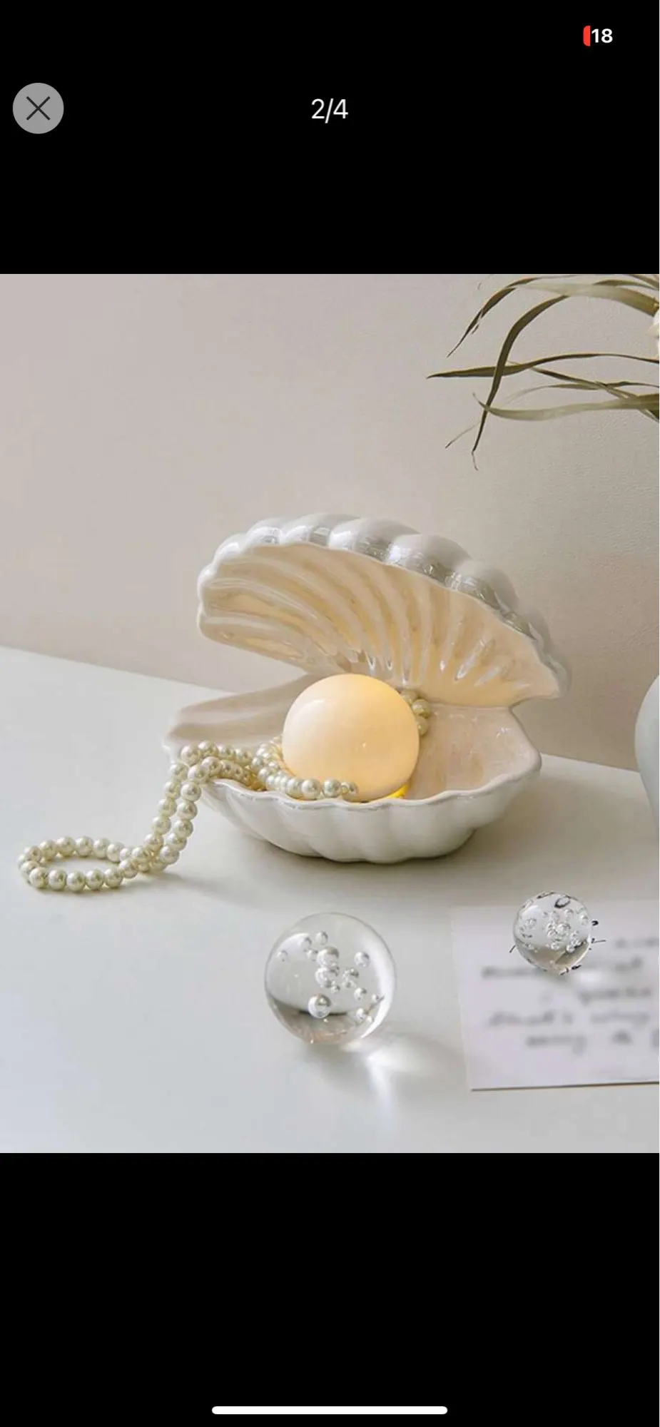 Shell Night Lamp