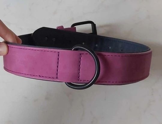 Padded Leather Collar for Dogs: Soft Comfort for Pitbulls, Labradors, German Shepherds, and More (Sizes S-XXL) photo review