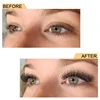 Quewel Lashes ODM OEM Premade Fan Lashes 3D 4D 5D 6D 8D Eyelashes Private Logo Wholesale Flase Eyelashes 5