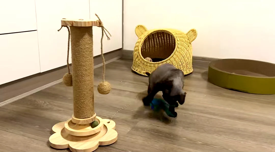 Cat Tower Durable Sisal Scratching Board Tree Pet Cat Toy Solid Wood Cat Turntable Cat Scratching Posts photo review