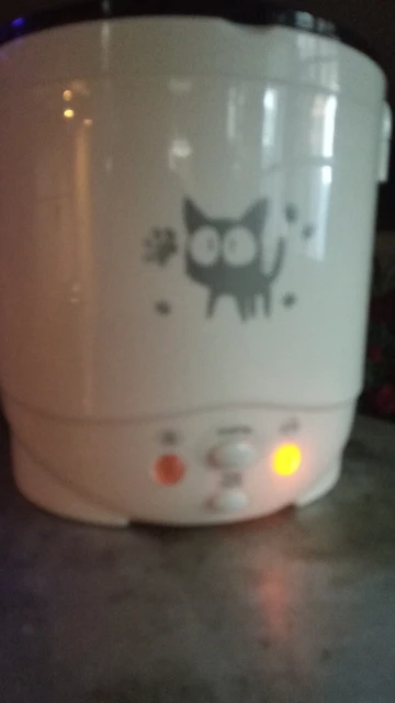 Mini Fogão De Arroz Elétrico MultiCooker Portátil Fogões De Arroz Doméstico 12V 24V 220V Panelas De Máquina De Cozinhar Panelas Para O Caminhão Do Carro Casa photo review