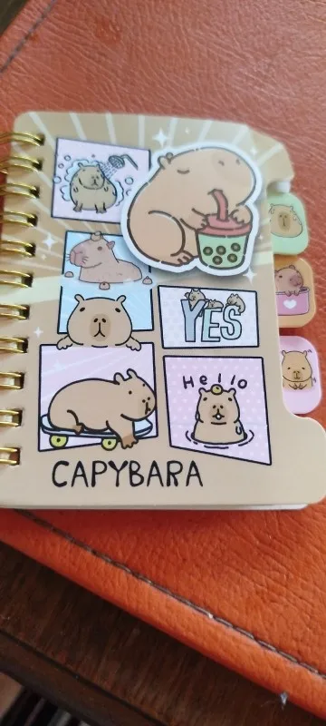 Capybara Notebook Collection photo review