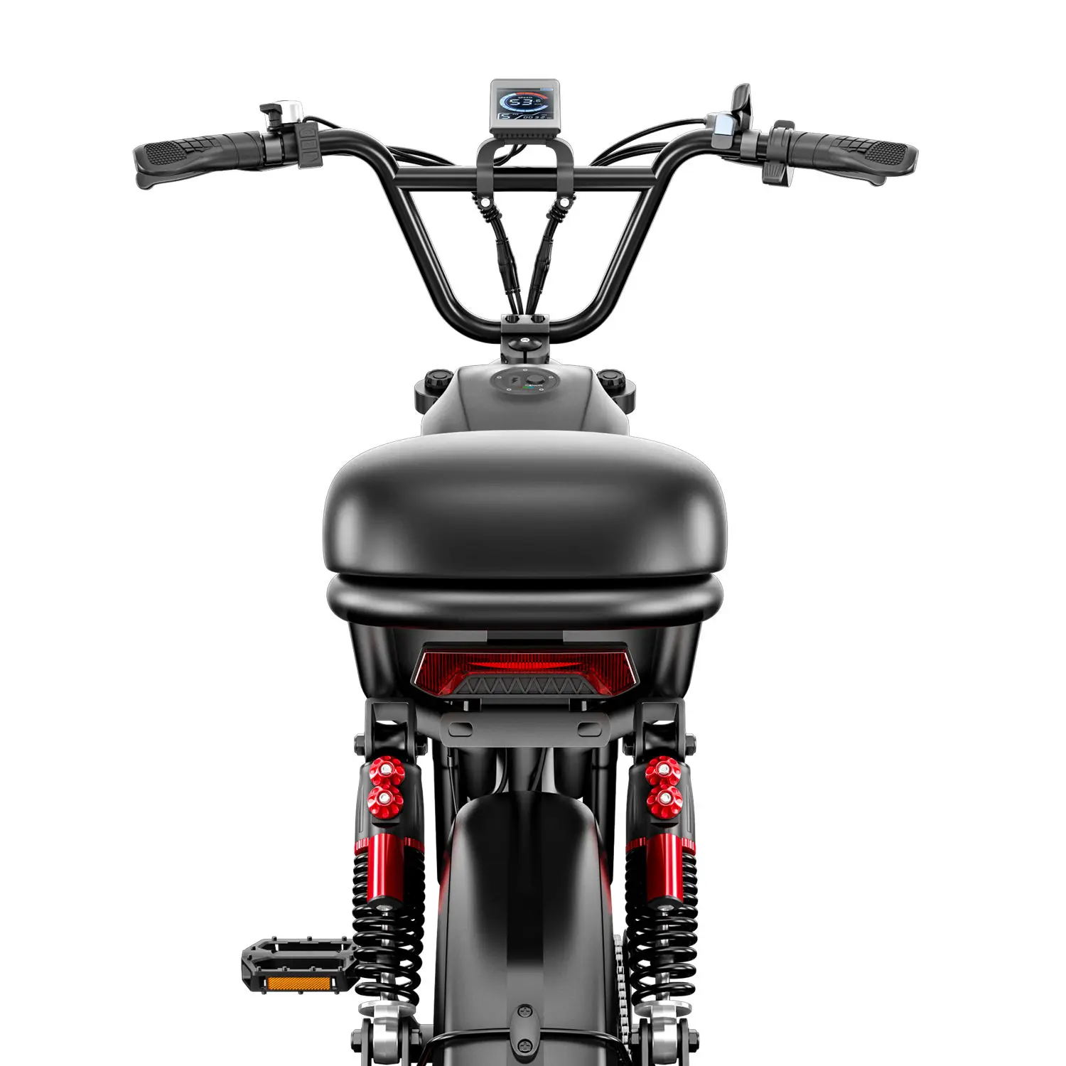 C93 1000W Motor E Bike 48V 20Ah Off Road Electric Bicycle 20"X4" Fat Tire 1000W Motor Ebike 2 Wide Seats electric bike,electric bicycle