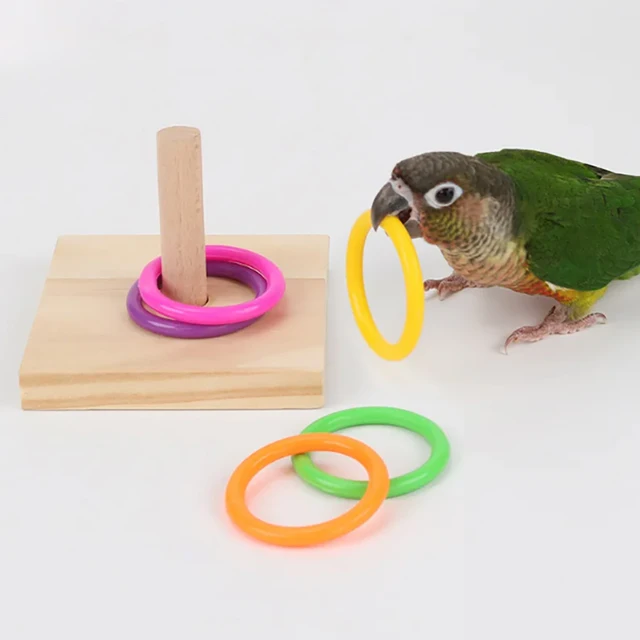 Parrot educational ring toy training chewing interactive bird supplies utensils parrot bird educational toys ring bird toys Parrot educational ring toy training chewing interactive bird supplies utensils parrot bird educational toys ring bird toys
