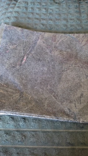 Sofa Saver Cat Scratch Mat photo review