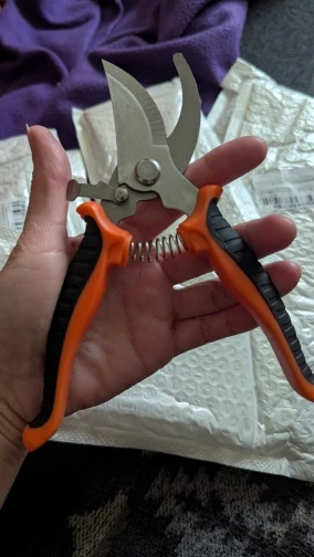 Stainless Steel Professional Gardening Shears Pruning branches Fruit trees Flowers Household Pruning Tools Shears photo review