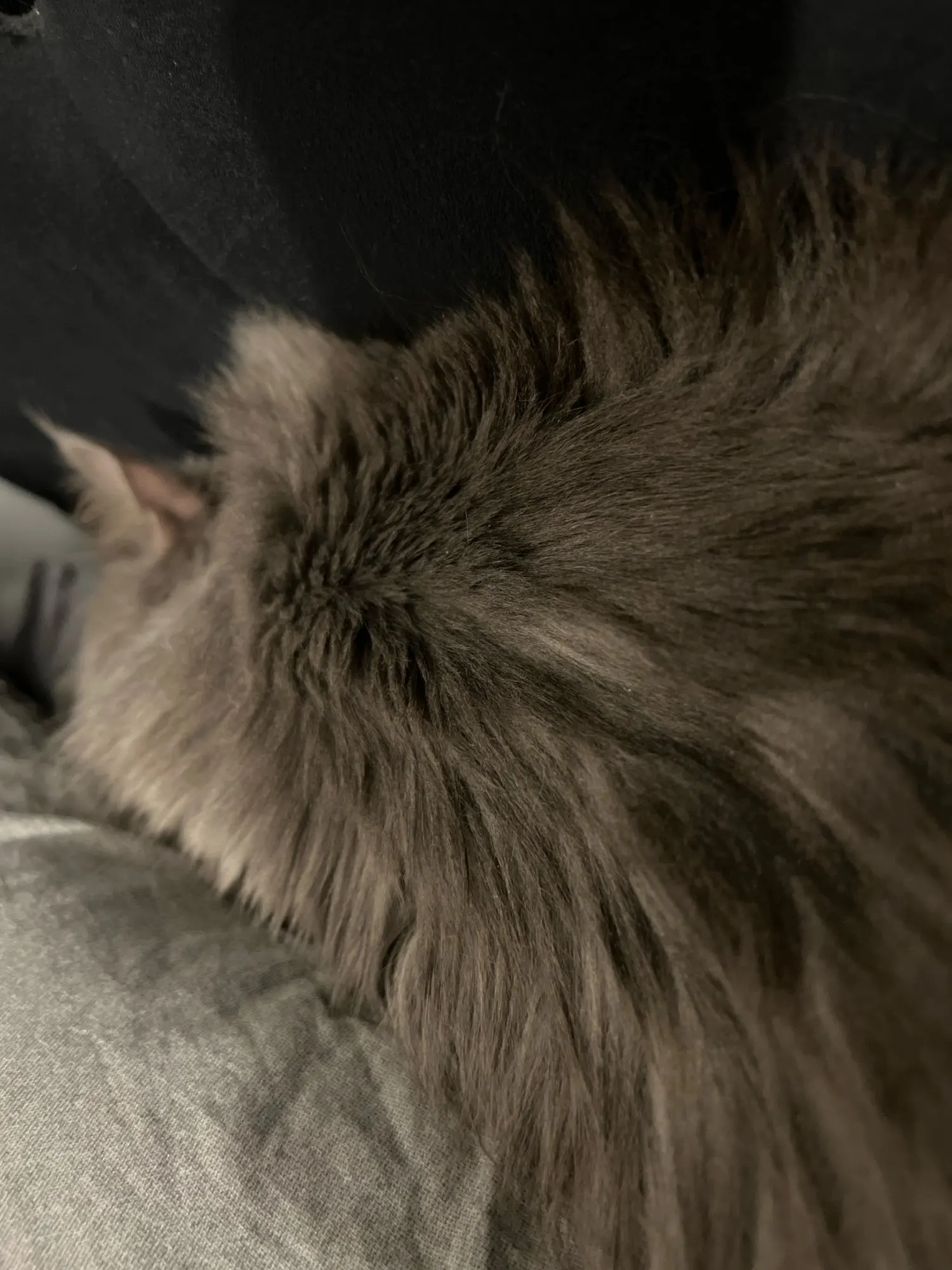 Kemei 2299 barbeiro aparador de cabelo sem fio 0mm zero lacunas escultura clipper detalhe profissional máquina corte acabamento elétrico photo review