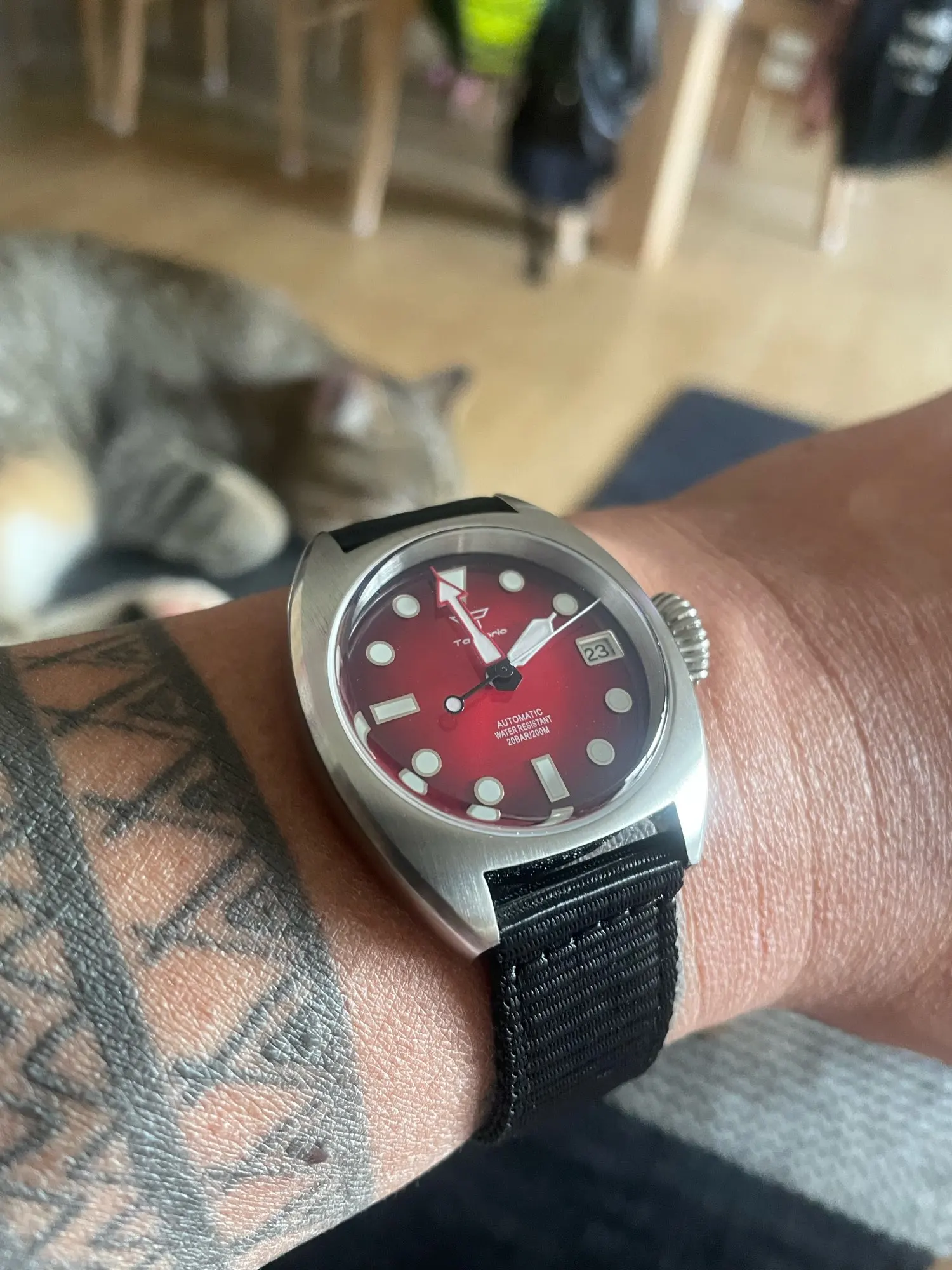 Tandorio TD102 Identity Crisis 36mm Military Watch Men NH35 AR Domed Sapphire Sunburst photo review