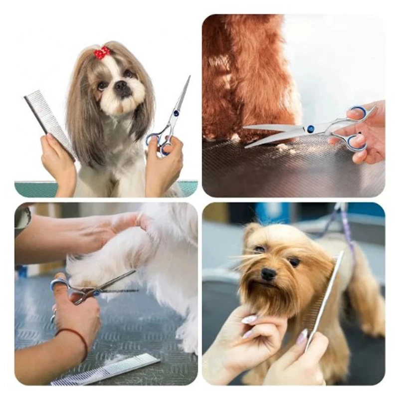 A0c66692691f144d3a8f5e65fbfde8b61d