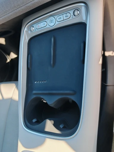 BYD SONG PRO/Sealion 05 EV 2025 Wireless Charging Mat Water Cup Holder