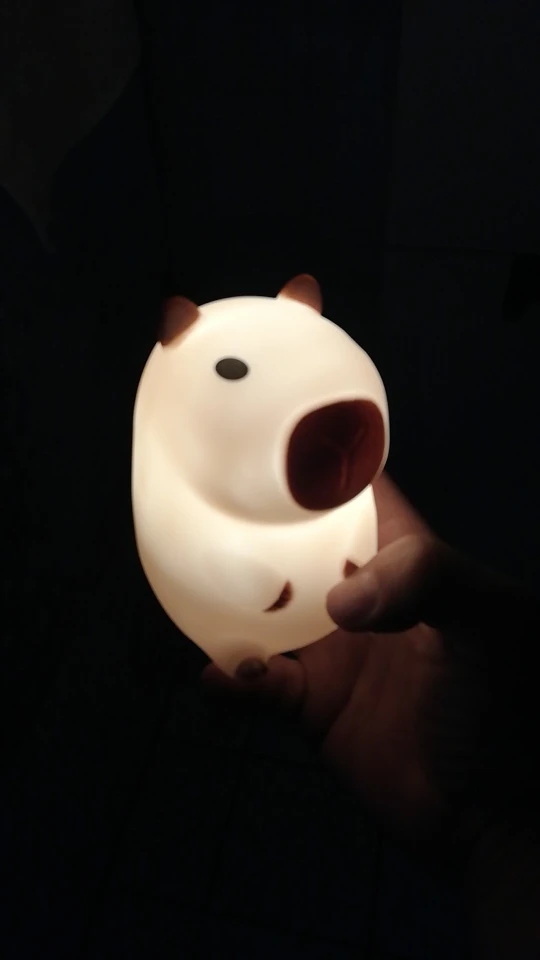 Charming Capybara Night Light for Kids photo review