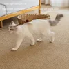 Imitation sisal cat scratching mat can be cut to size, non-slip, pineapple pattern, wear-resistant and scratching mat for cats 2