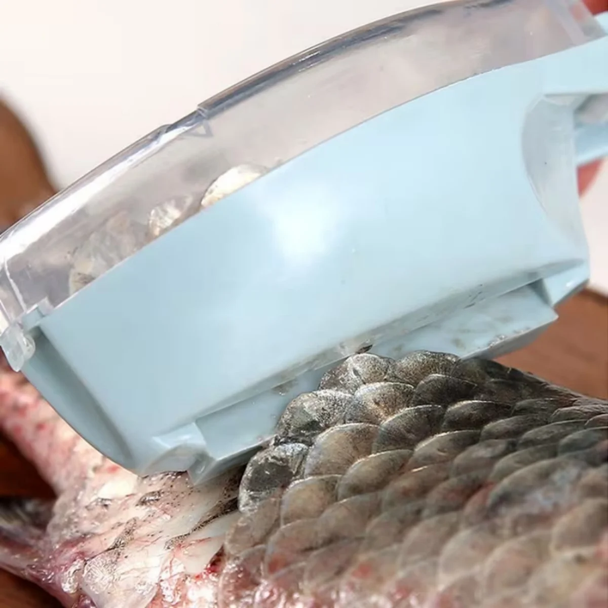 Fish Scale Scraper Tool 7