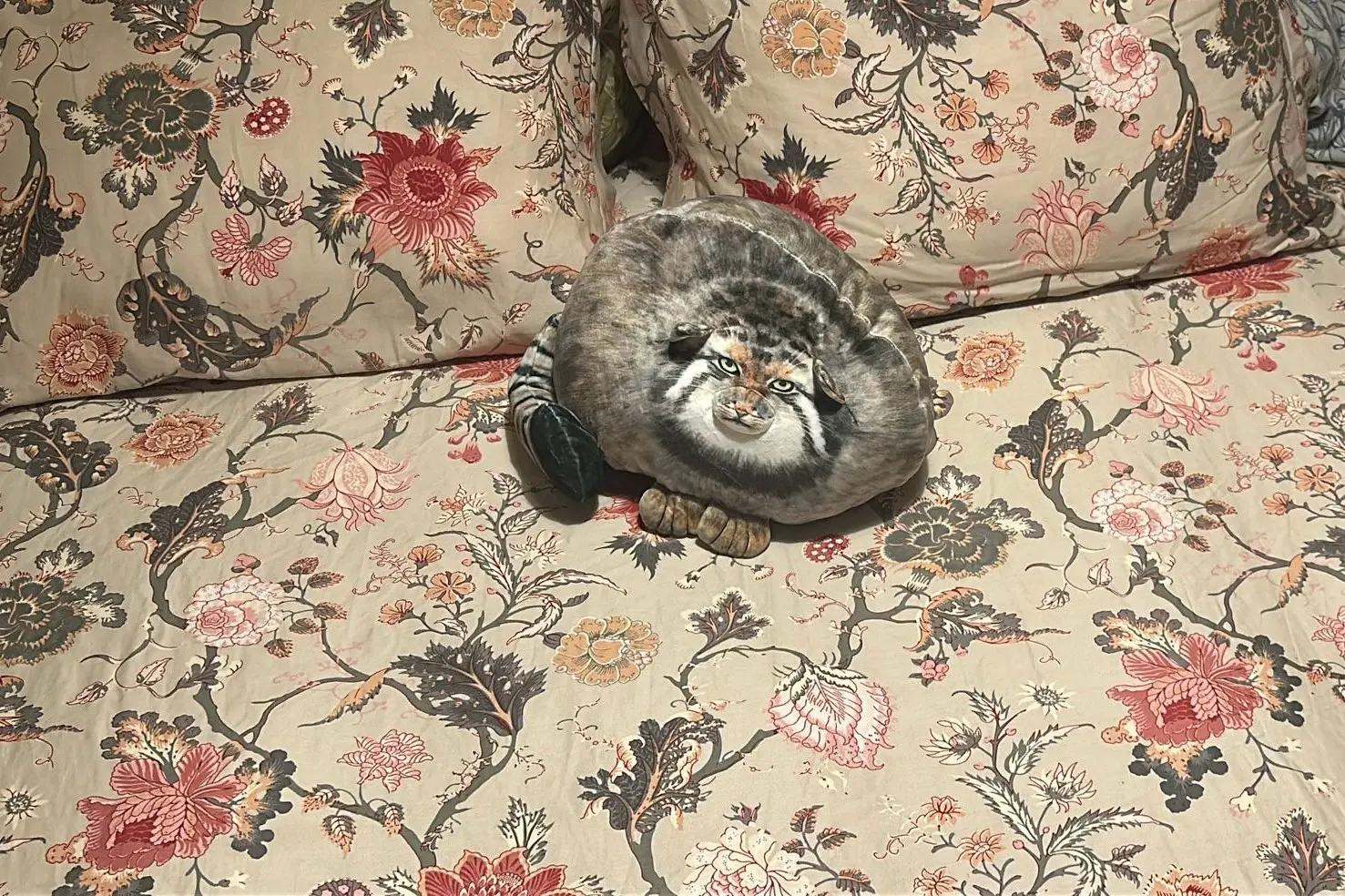 Chonky Realistic Palla's Cat photo review