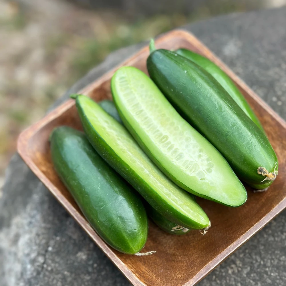 Domestic Mini Stop Mini Cucumber 500g 1kg 2kg 3kg - AliExpress 2