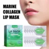 Hoygi Moisturizing Lip Mask Aloe Vera Moisturizing and Anti Drying Crack Autumn and Winter Moisturizing Care Whitening 10 Pieces 4