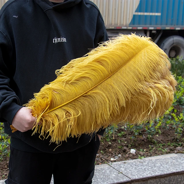 10Pcs/Lot Colored Ostrich Feathers for Crafts 35-40CM 14-16 Feathers  Ostrich Plumes Home Wedding Decoration Carnaval Assesoires - AliExpress