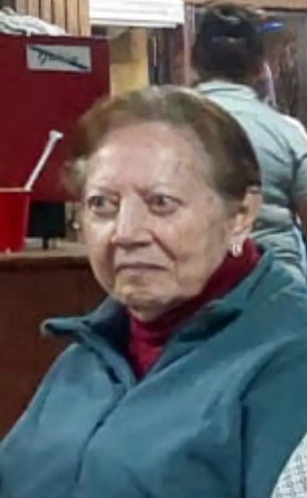 Chic Backless Halter Dress for Women - Summer Elegance Unleashed photo review