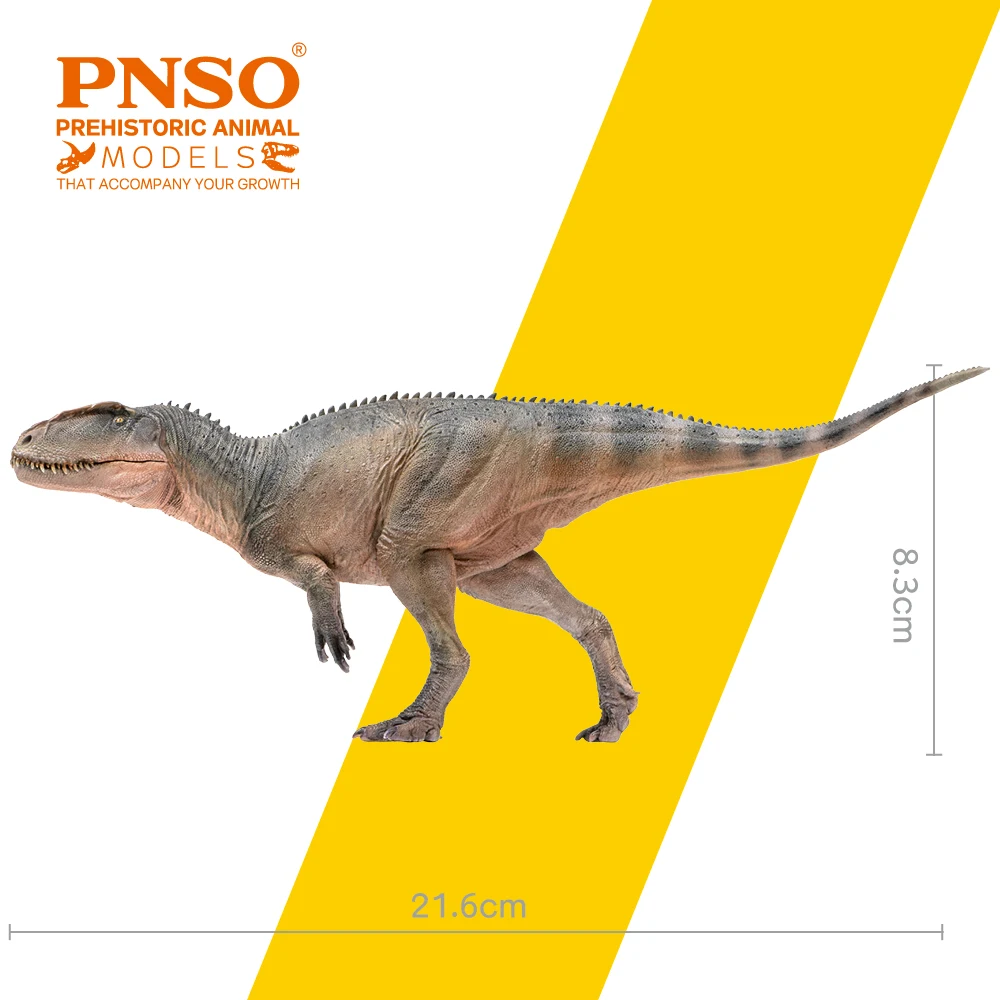 PNSO Prehistoric Dinosaur Models: 62Xinchuan the Sinraptor | eBay