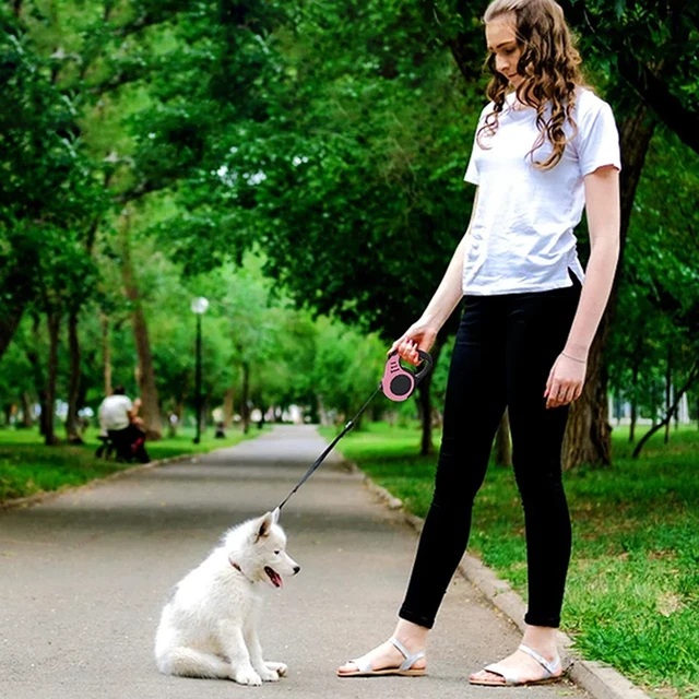 Pet dog leash dog automatic retractable leash automatic retractable leash dog walking rope dog chain dog outdoor supplies 6
