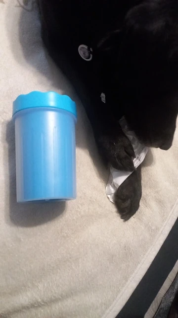 Limpiador de Patas para Perro