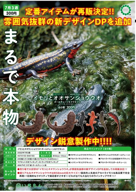小物 manipuri zebra-800033-840-ymcko-color-