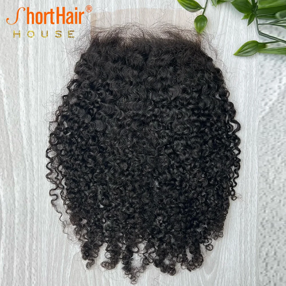 4X4 5x5 HD Lace Closure Human Hair Kinky Curly Hair Extensions Transparent Lace Frontal Remy Vietnamese Free Part Small Knots