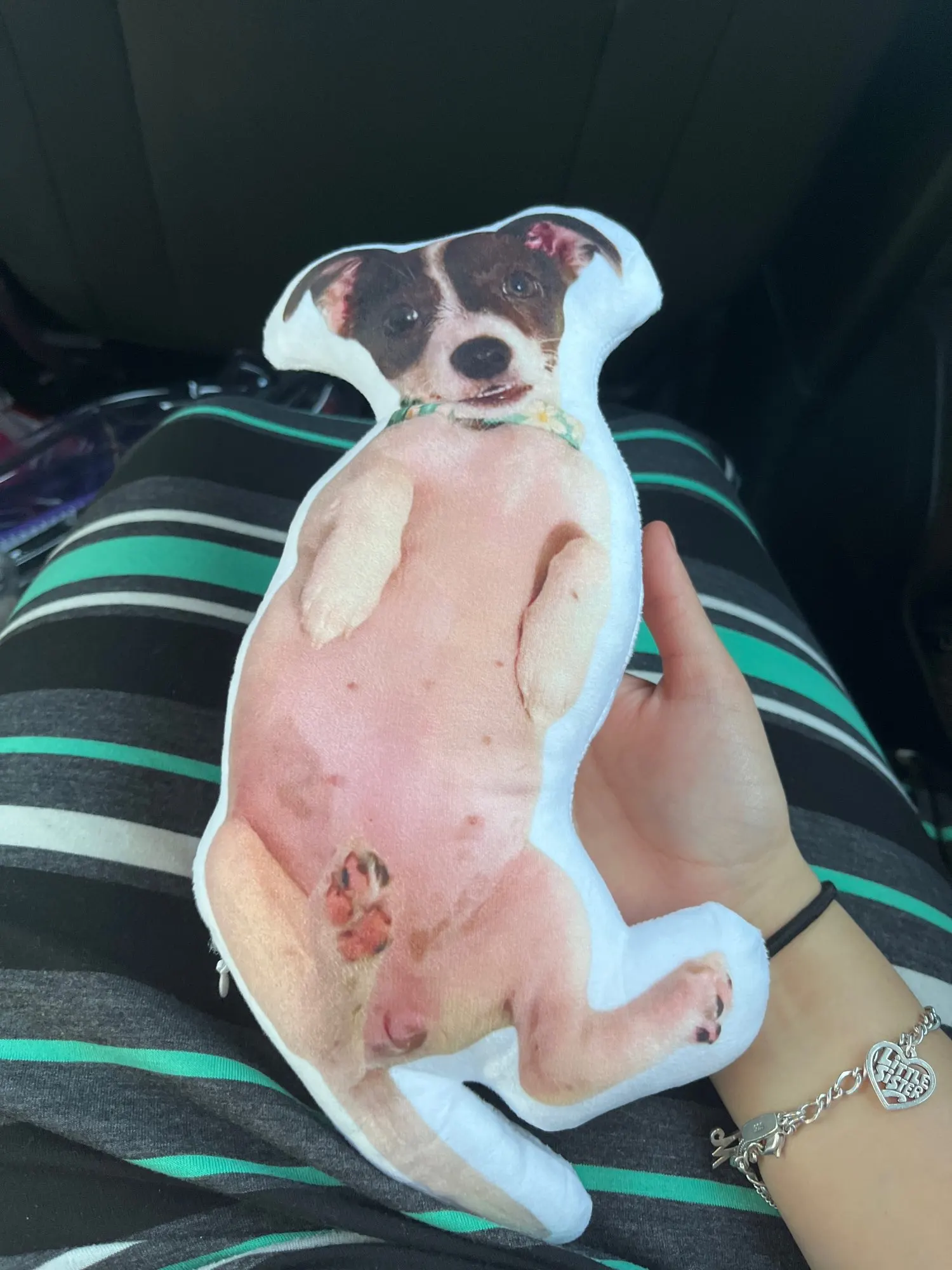 Custom Pet Photo Pillow