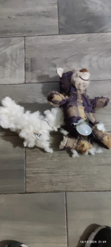 Peluche Oso Chirriante Para Perro