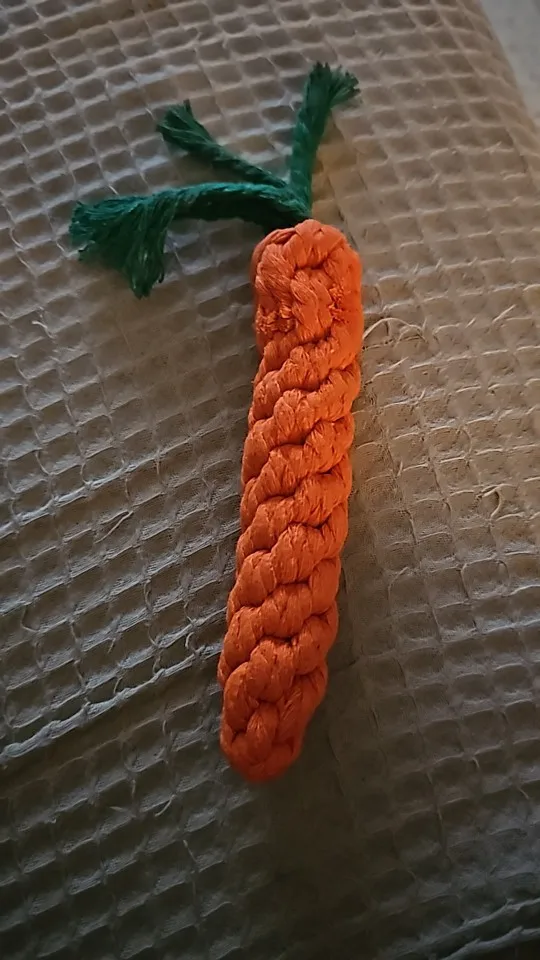 Carrot Rope Pet Toy photo review