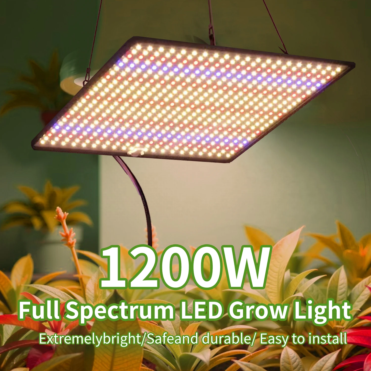 Rastlina pod LED svetlom