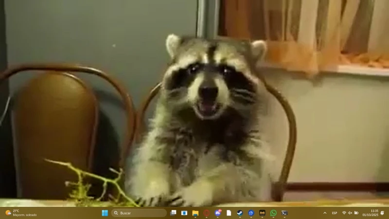 User picture