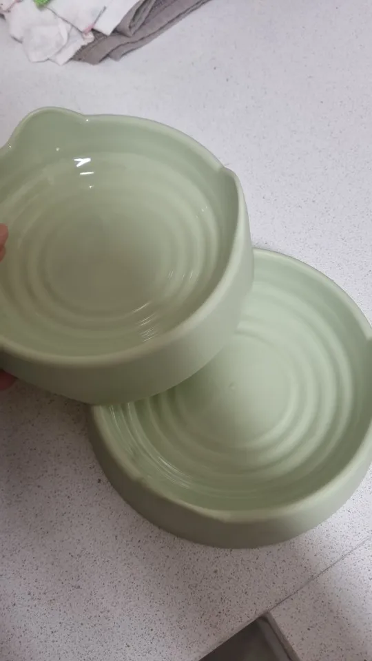 Whisker Well: Durable Standing Pet Food and Water Bowl photo review