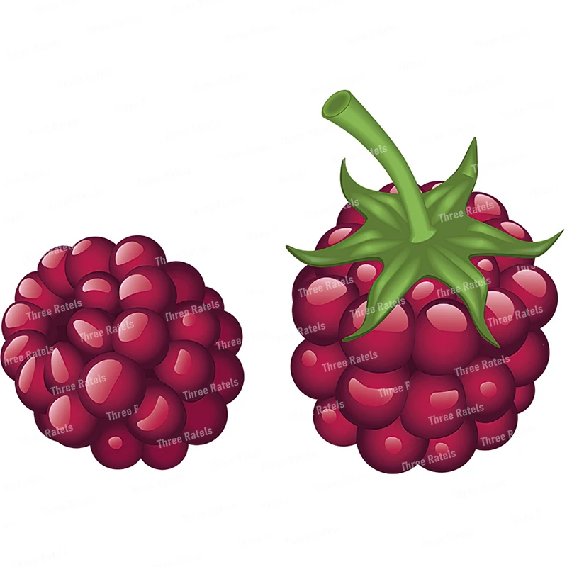 thumbnail image 1 of Pegatina decorativa para nevera de cocina con forma de fruta de dibujos animados de frambuesa linda Three Ratels CO22, 1 of 5