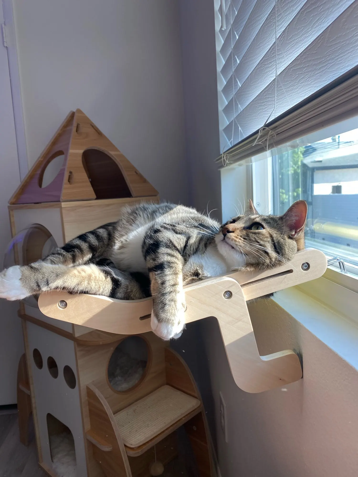 Attachment image review on Androf Cat Bed