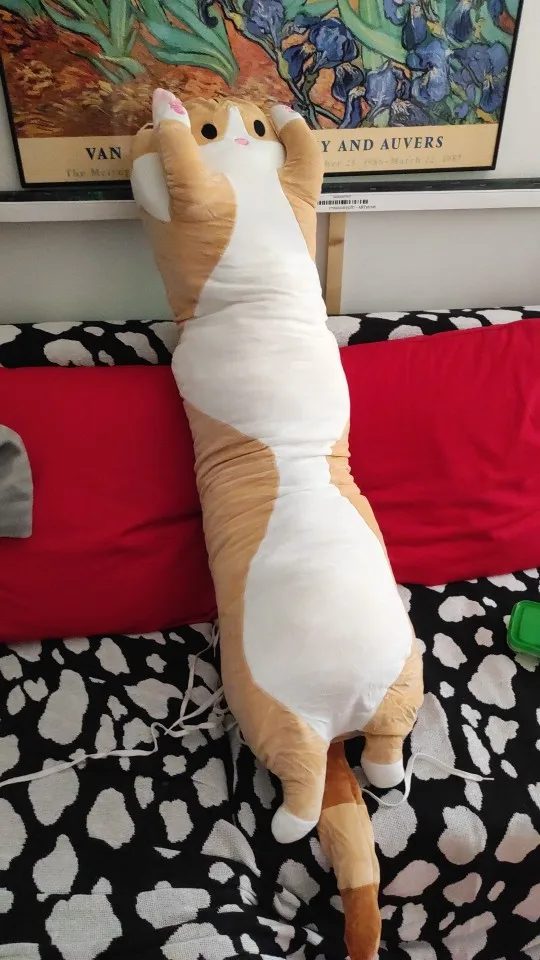 Long Cat Plushies photo review