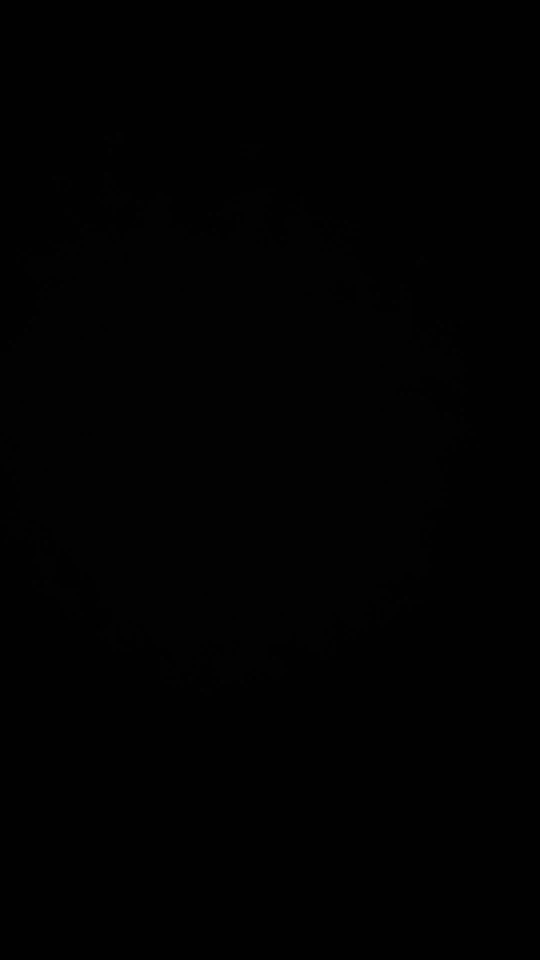 SOYO Graphics Cards R7 350 4G DDR5 128bit HDMI compatibility+DP+DVI For Desktop Gaming Computer Components GPU Video Card photo review