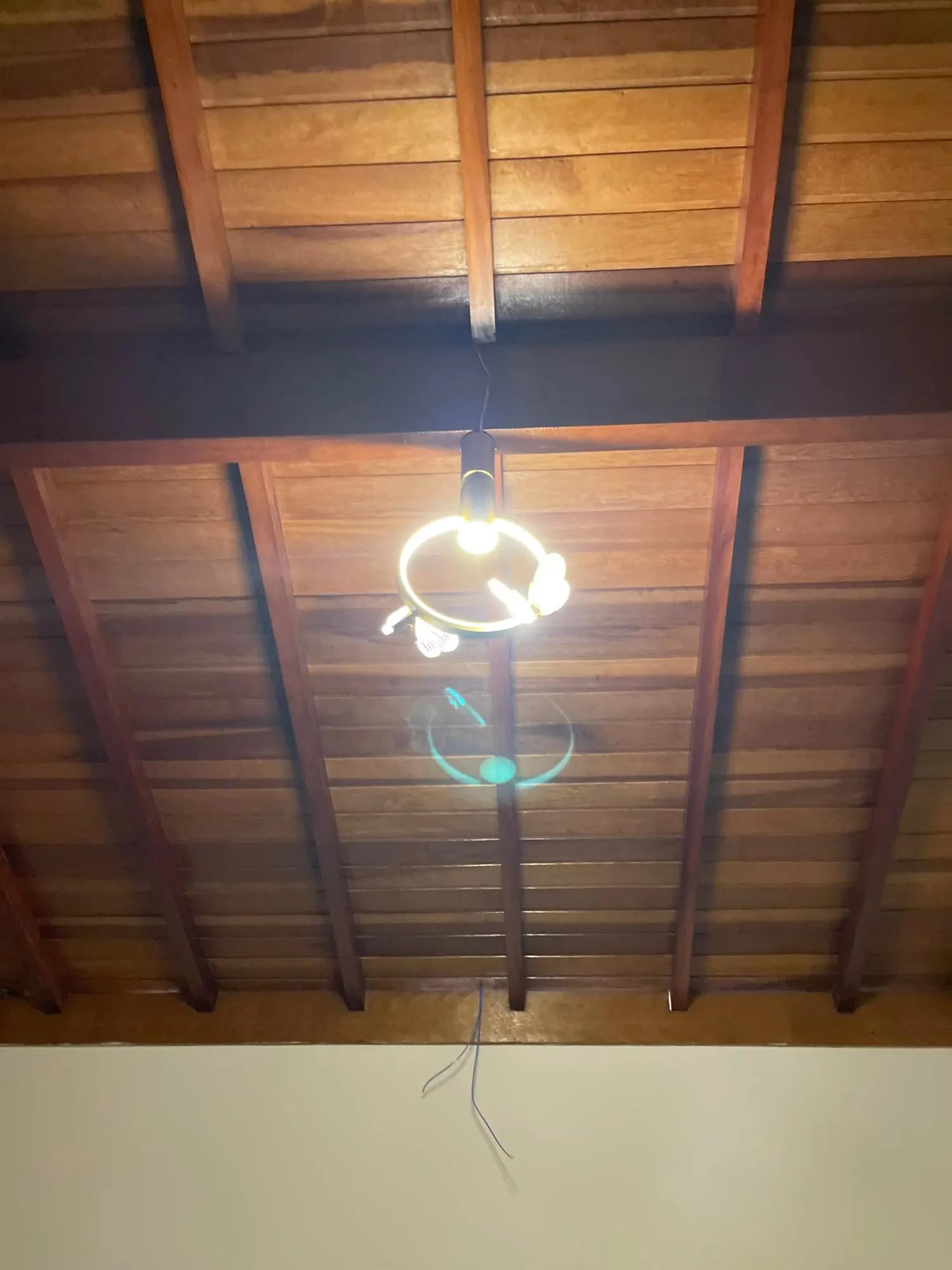 Flutter Lux Butterfly LED Pendant Lights for a Touch of Opulence in Modern Living photo review