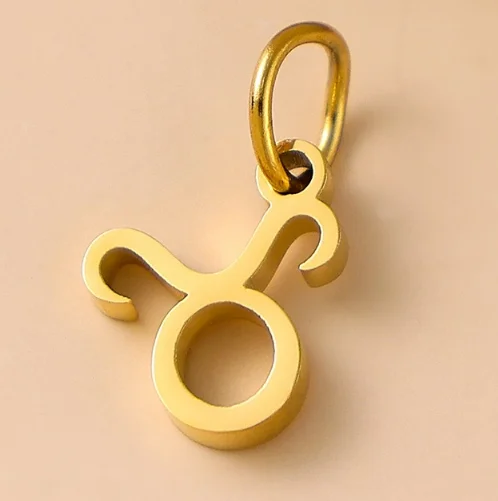 Stainless Steel Zodiac Star Pendant Necklace Accessory