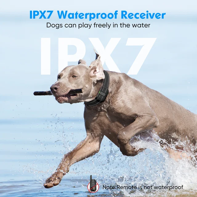 PEDONO Electric Dog Training Collar With Remote 6