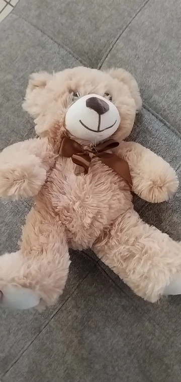 Soft Teddy Bear Plushie photo review