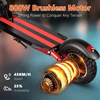 SUNNIGOO N3MAX Scooter électrique pour adultes 800W moteur 48V13Ah batterie, double frein hydraulique, E Scooter croisière automatique, pneu 10" 5