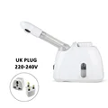 UK plug