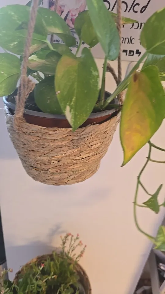 Garden Hanging Planter Macrame Plant Storage Basket Jute Rope Woven Indoor Outdoor Flower Pot Holder Plant Hangers Home Decor photo review