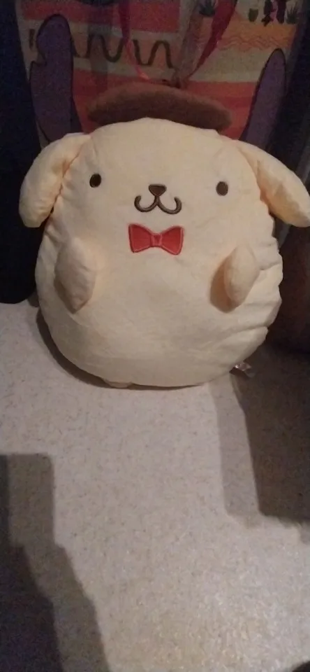 Chonky Purin Plushie photo review