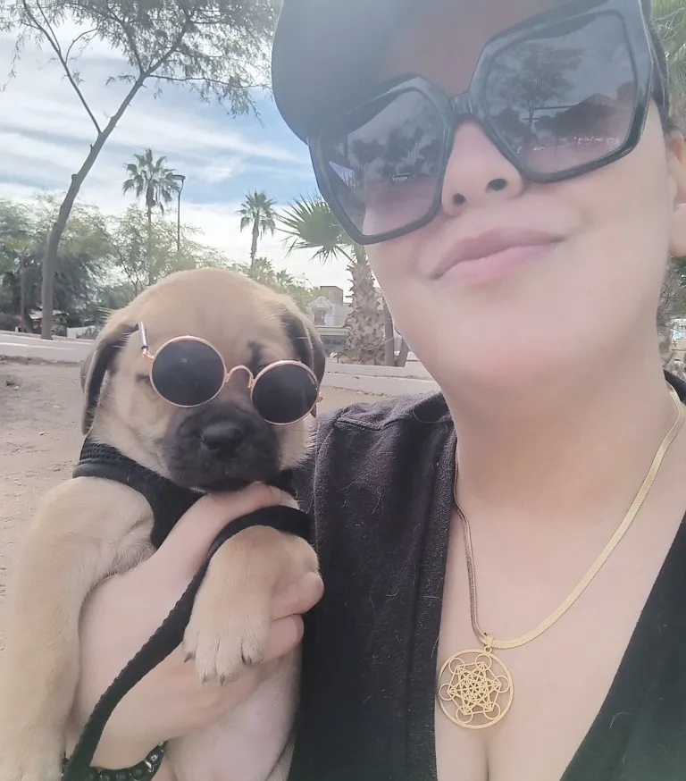 Summer Cat Dog Harness Lead Leash Adjustable Vest Polyester Mesh photo review