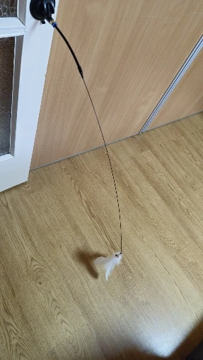 Feather Fun Cat Wand photo review