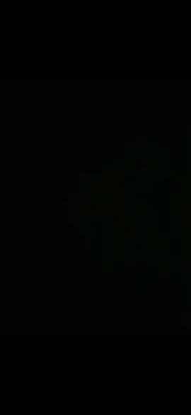 40mm New V2 PAGANI DESIGN Men's Quartz Watches Sapphire Retro Chronograph photo review