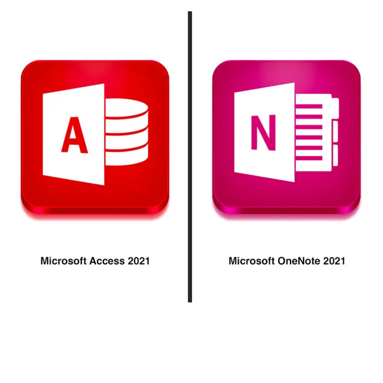 Рисунок 4 - Microsoft Office 2021 Pro Plus
